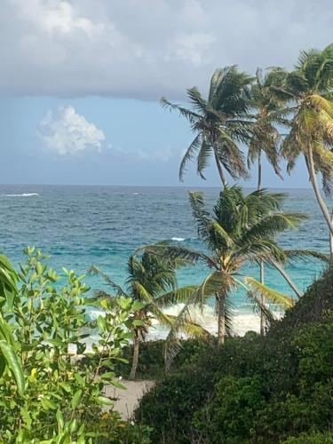 Beach, Coral Sea View Vacation Rental in Apple Hall