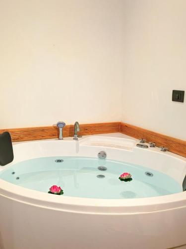 Гореща вана, Jacuzzi Studio Room in Шкодра