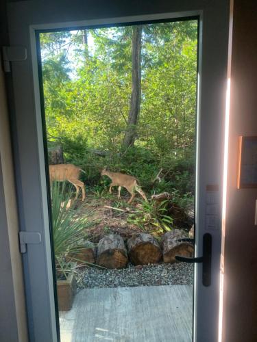 WHITE HAUS nested in Rainforest close to beach and trail in อูคลูเล็ต (BC)