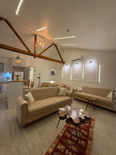 Doğayla İç içe Lüks Villa (Dogayla Ic ice Luks Villa) in Narlıca