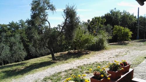 Colombaio In Colle