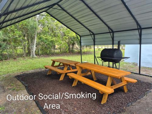 Zora's Sojourn in Other