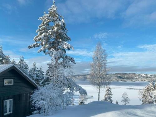 外部景觀, Norwegian Cabin Vibes With View In Vegårshei (Norwegian Cabin Vibes With View In Vegarshei) in 韋哥爾斯希