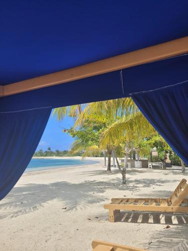 Afficher, Dream Diamond in Saint Ann's Bay