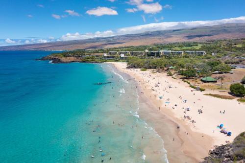 ❤PiH❤ Kamilo Ohana Views Heated Pool Beach Club Access - image 3