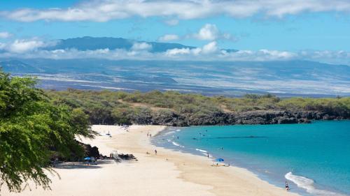 ❤PiH❤ Kamilo Ohana Views Heated Pool Beach Club Access - image 5