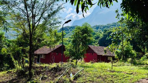 Jungle homes in Kollengode