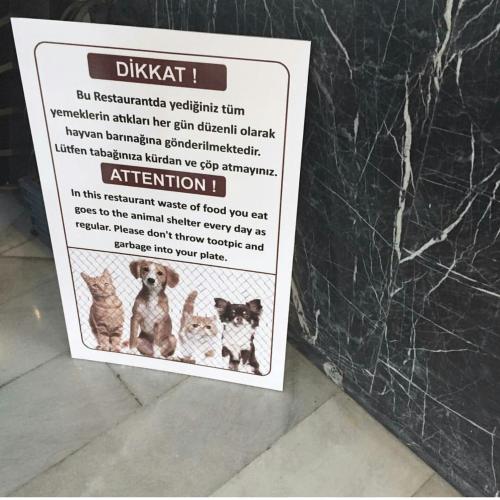 Ephesus Hitit Hotel restaurant in Selçuk