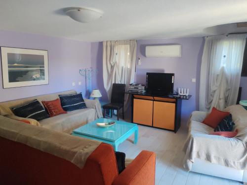 Εξοχική κατοικία - cottage Τίνα gîte à louer Katiyióryi