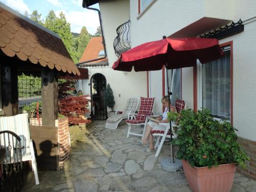 Hotel Pension Weinberg mit Landhaus Nizza - main image