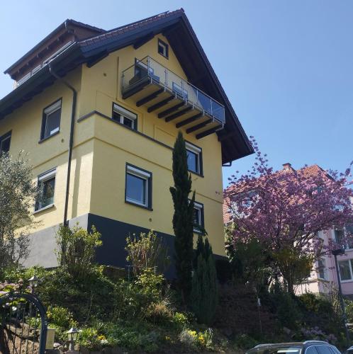 Nichtraucherferienwohnung-Neckarblick ZE-2022-74-WZ-118A - Heidelberg