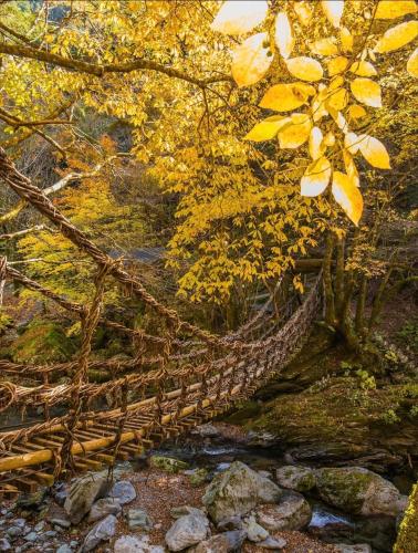 Minka -STAY century-old Traditional Japanese house