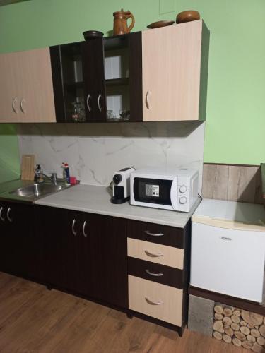 стаи за гости TODA in Troyan