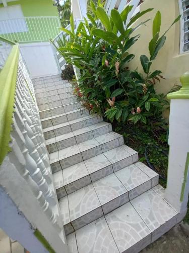 Appartement cosy à Deshaies avec balcon - 35 m² (Appartement cosy a Deshaies avec balcon - 35 m²) in Bas Vent