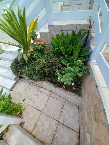 Appartement cosy à Deshaies avec balcon - 35 m² (Appartement cosy a Deshaies avec balcon - 35 m²) in Bas Vent