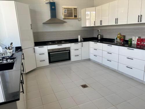 Palm and wave in Tiwi