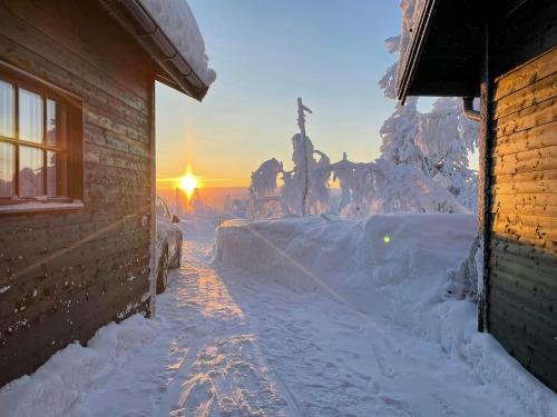 Exterior view, Mountain Cabin With Views Over Jamtland's Expanse in Storhagna