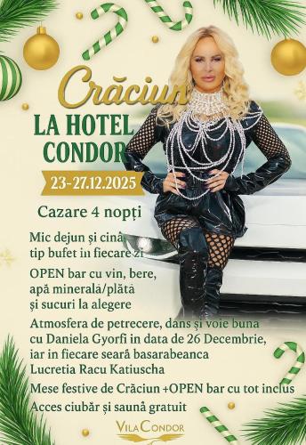 Vila Condor - Hotel - Poiana Brasov