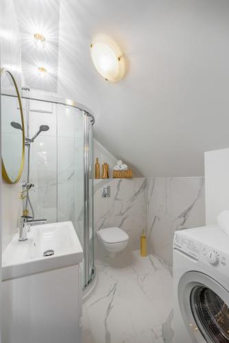 Olszynka III in Blonia