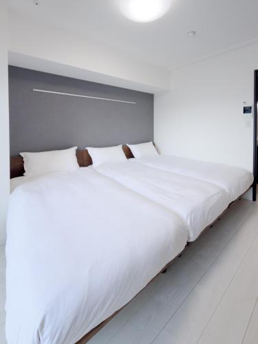 Asakusa 202 Triple Room