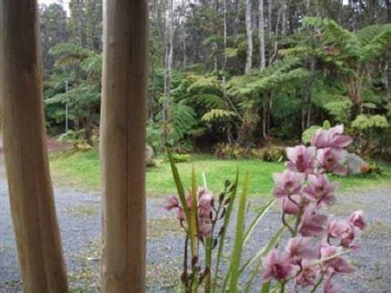 Aloha Crater Lodge