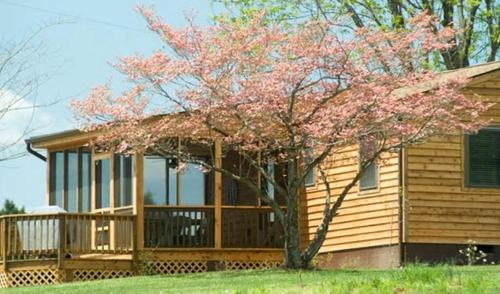 Charming Cottage Overlooking Gorgeous Citation Bass and Bream Pond near Charlottesville in Gordonsville (Virginia)