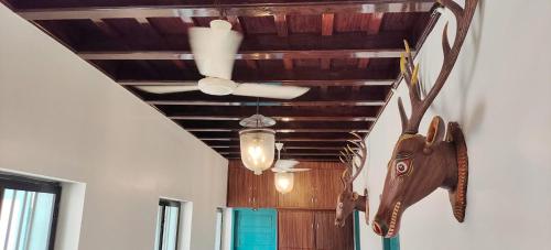 The Boat Jetty Bungalow – Cochin, NE