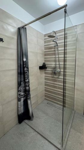 Apartments Collection at Coresi - image 4