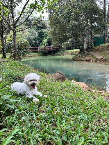 Cabaña con fogata BBQ y ríos cerro azul (Cabana con fogata BBQ y rios cerro azul) in Cerro Azul
