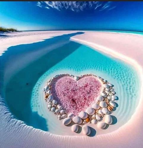 Coeur de Mer - Location saisonnière - Sainte-Anne