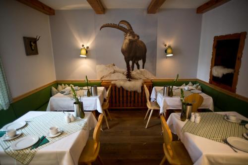 Létesítmények, Hotel Gamshof in Kitzbühel városközpont