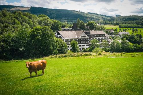Vista exterior, Sauerland Alpin Hotel in Schmallenberg