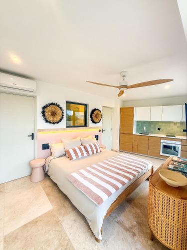 SEA NOVA Friar's Bay Beachfront Properties in Saint Martin