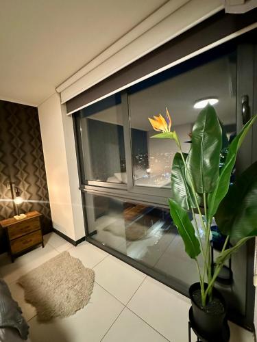 Sky Egaña