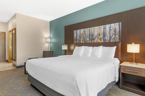 1 king bed