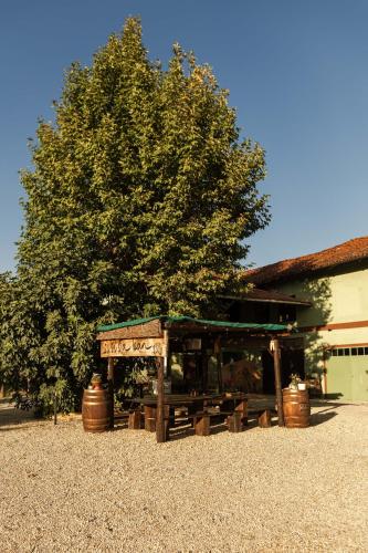  CA´du LIN - Jacuzzi e Piscina in Cisterna dʼAsti
