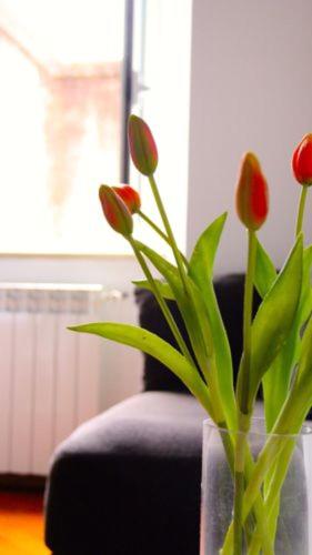 Scent Of Trastevere Room Type - Superior Apartment Scent Of Trastevere Room Type - Superior Apartment