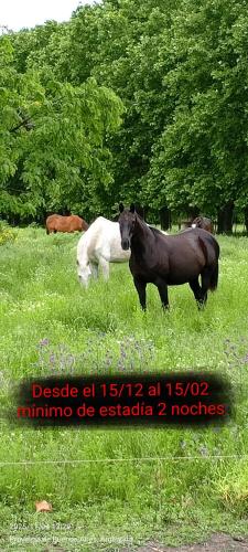 Casa de campo Spaequino La Colorada