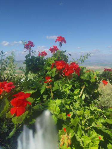 Chez Noureddine L 'GARAH in Moulay Idriss