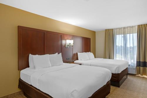 Comfort Suites Gateway - image 7