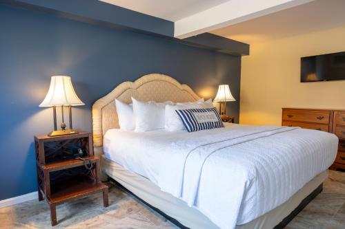 Residential King Pet Friendly