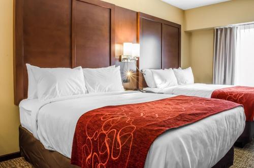 Comfort Suites Manheim - Lancaster