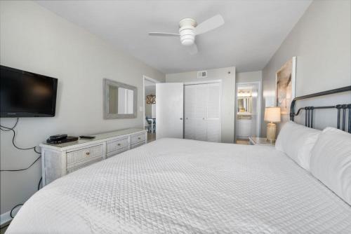 Phoenix II 2023 by Youngs Suncoast in Sjösida/strand