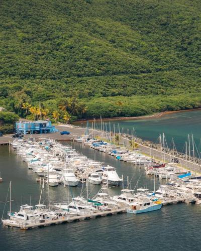 Marena Seaview Condo in Dos Marinas Fajardo - image 11