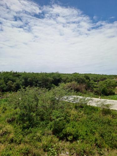 Ape economico a 4 km de Muro Alto in Nossa Sra. do O