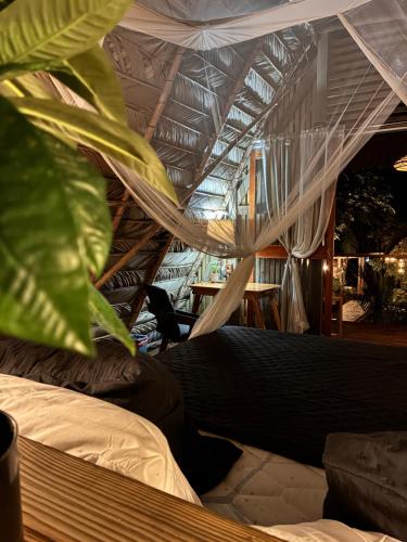 Buena Vista Bay Resort in Livingston