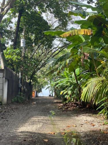 Maudie in Santa Teresa