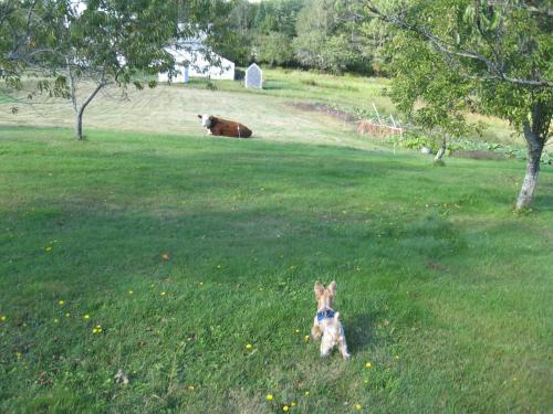 The Humble Farmer St George (ME)