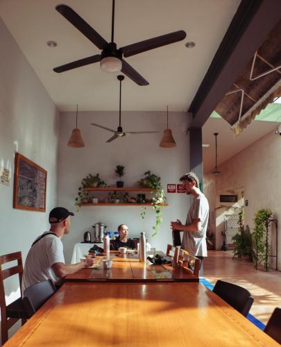 Hostik Hostal in Merida