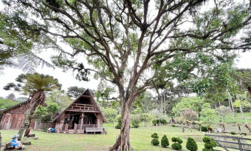 สภาพแวดล้อมโดยรอบ, Chalé do lago (Chale do lago) in ซาดอ เบนโต โด ซุล